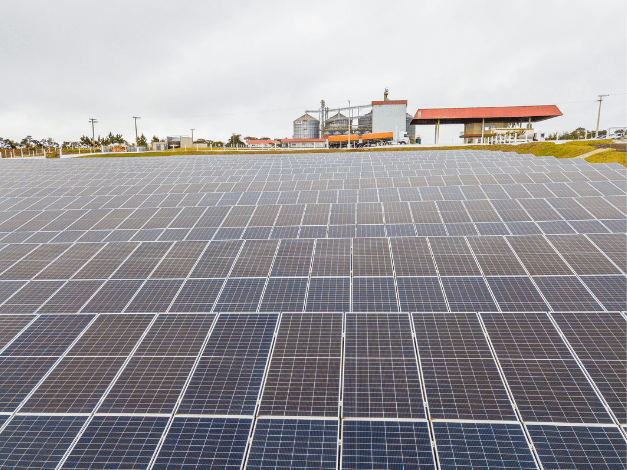Grupo Alvorada — módulos fotovoltaicos ao nível do solo